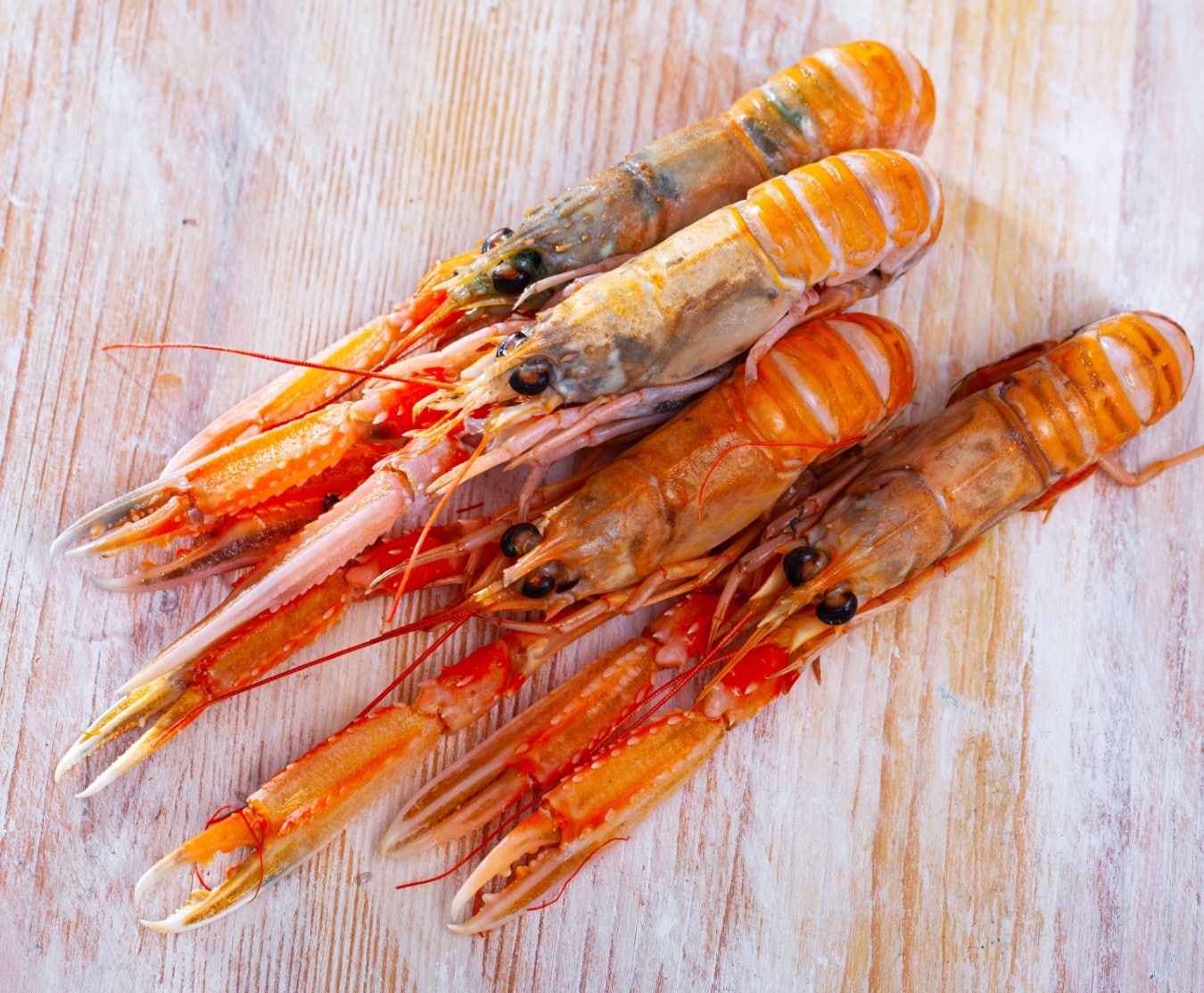 Langousitne frozen 8/12 1kg
