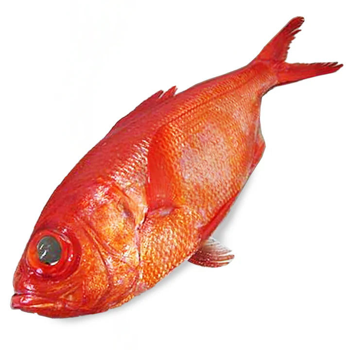 Alfonsinon or Kinmedai fillets 200g