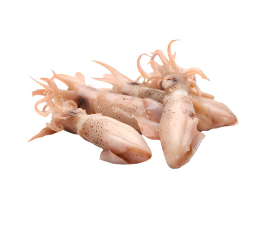 Baby Frozen Calamari 1kg