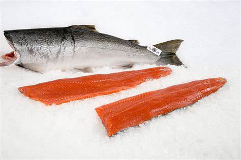 Coho Wild Salmon 1kg
