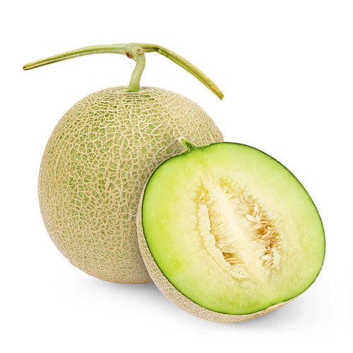 Japanese Yubari king Melon 1pc