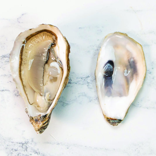 Oysters Fine de Claire N’2