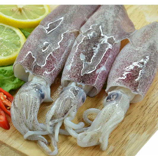 Fresh Italian Calamari 1 kg