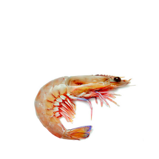 Wild Australian frozen Prawns 1kg