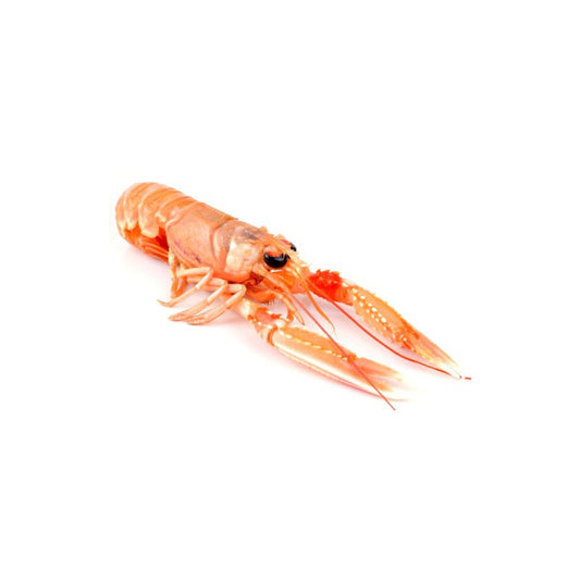 Langousitne frozen 8/12 1kg